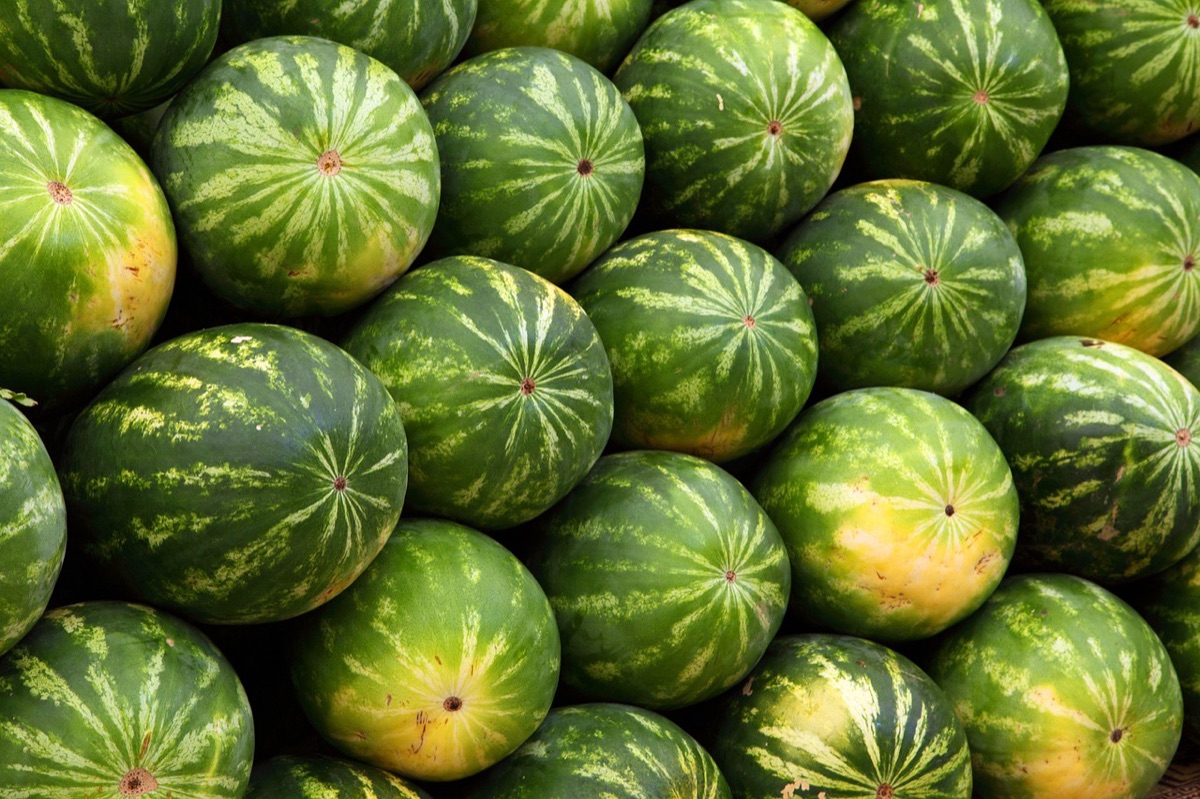로마 여행객이 음식 시장에서 현지 음식을 맛보는 장면