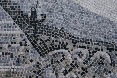Roma Antica: Il Foro, il cuore pulsante di un impero mondiale