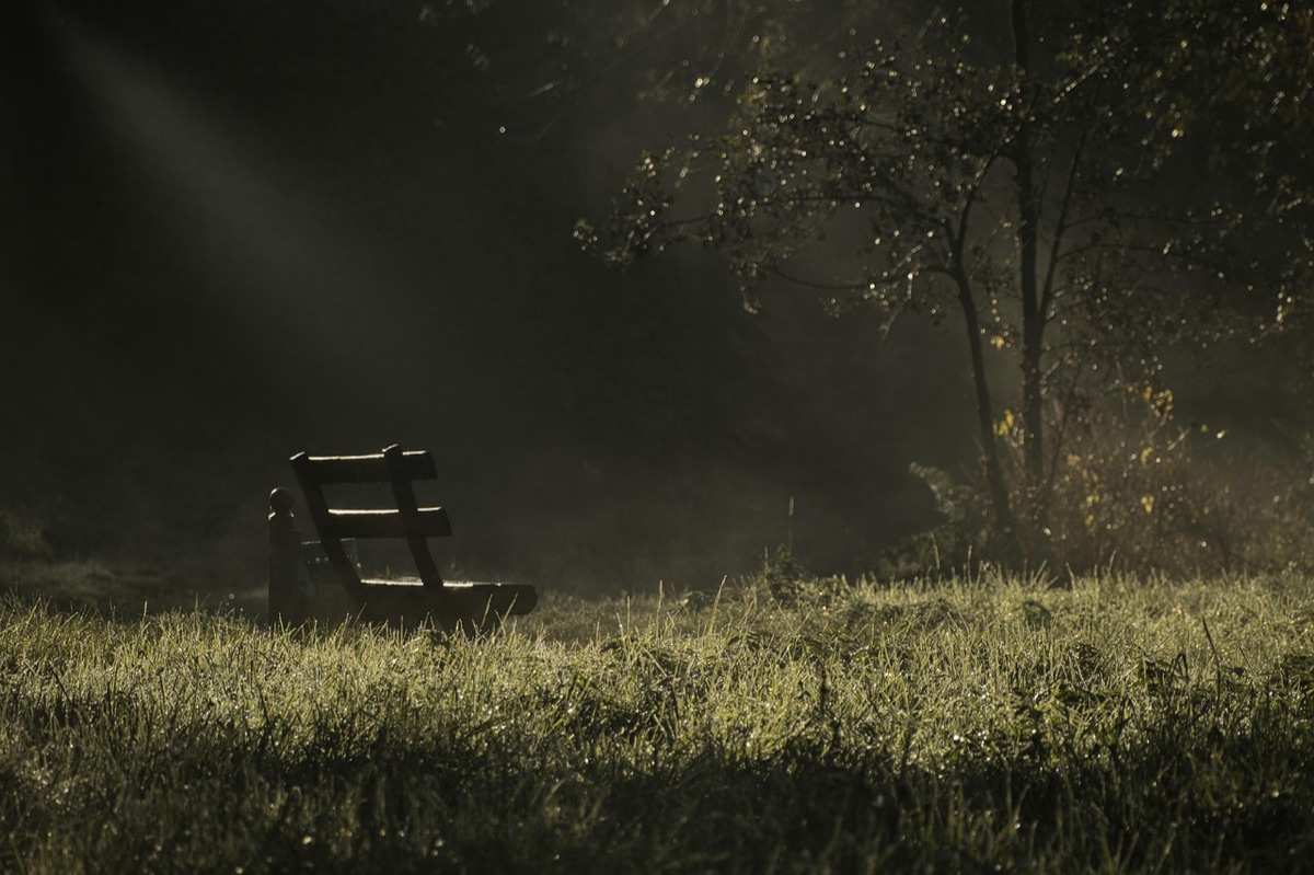 Tiburin Park bench with couple in flowing clothing